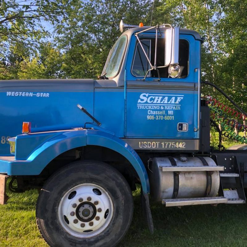Our Beauty-Western Star